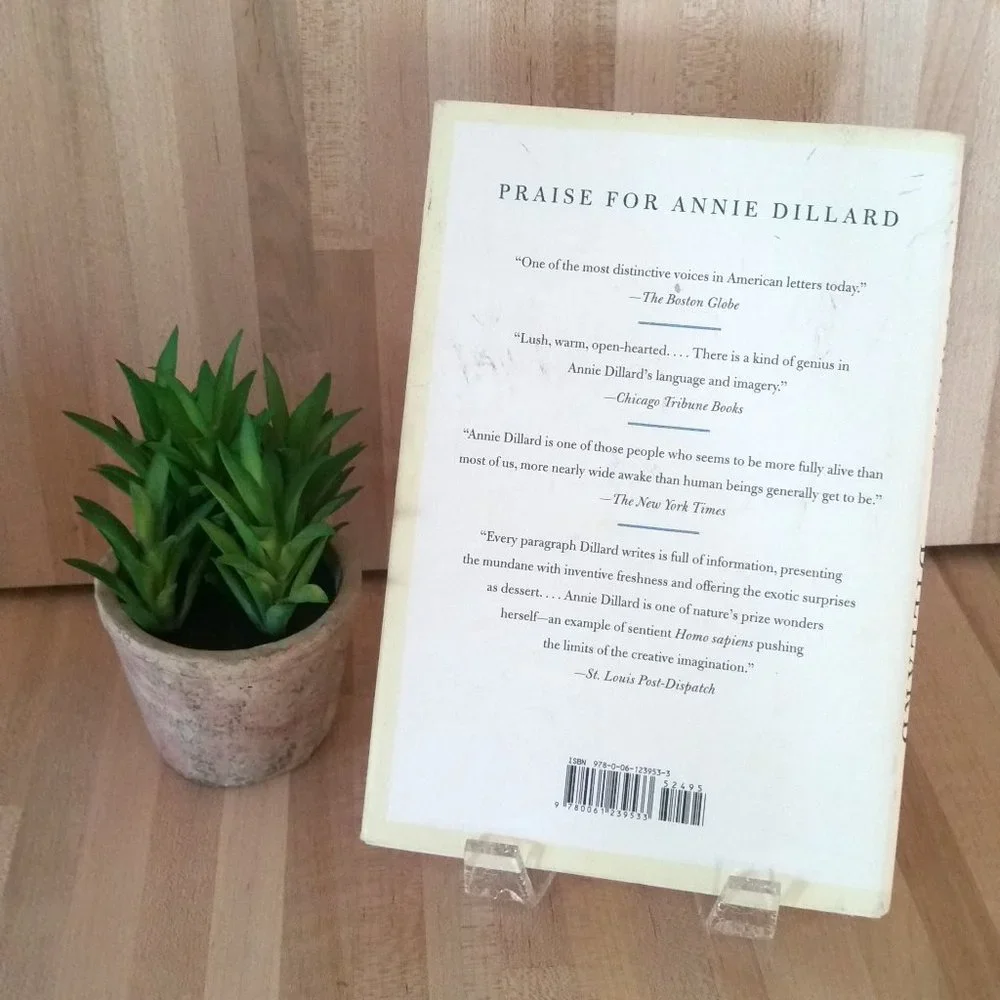 Annie Dillard 'The Maytrees'